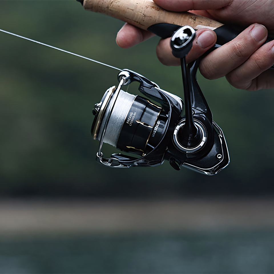 Катушка спиннинговая DAIWA 202 – обзор и цена Daiwa Reel Bg